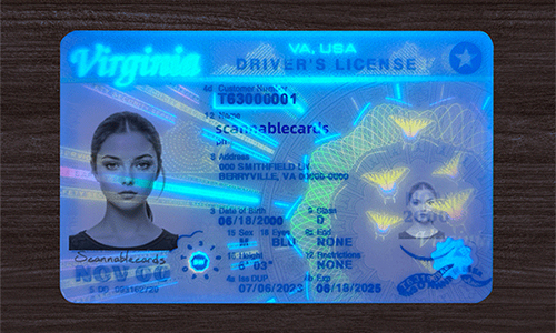 Virginia ID(2025 Version)