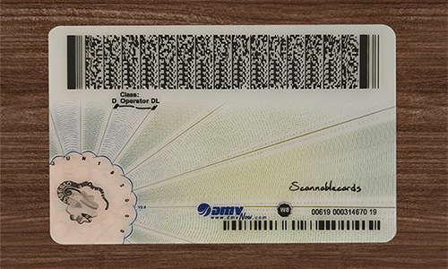 Virginia ID(2025 Version)