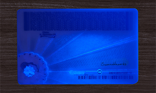 Virginia ID(2025 Version)