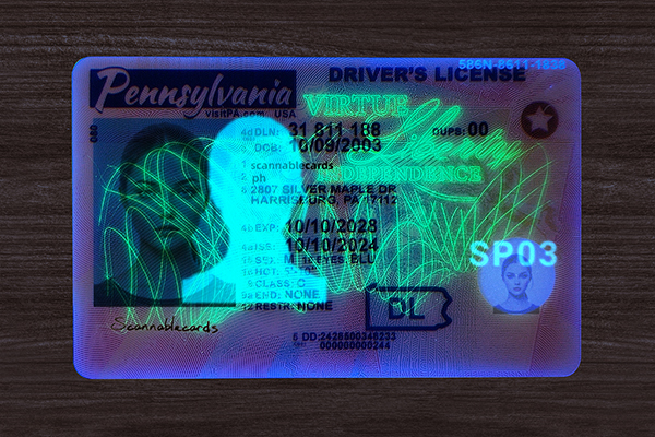 Pennsylvania Fake ID (2025 version)