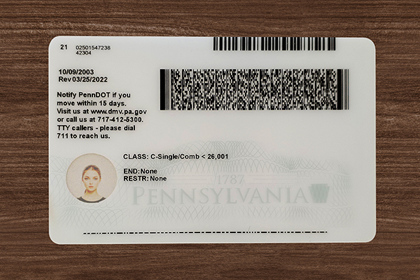 Pennsylvania Fake ID (2025 version)