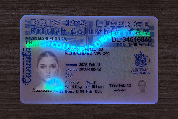 British Columbia Fake ID (2025 version)