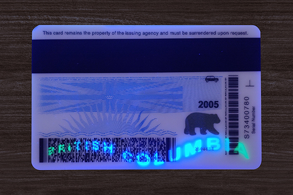 British Columbia Fake ID (2025 version)