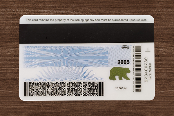British Columbia Fake ID (2025 version)