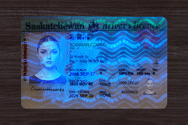 Saskatchewan Fake ID