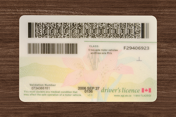 Saskatchewan Fake ID