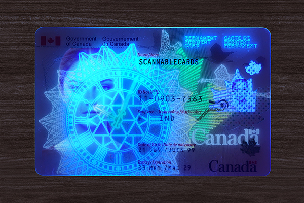 Canada Permanent Resident Card(2025)