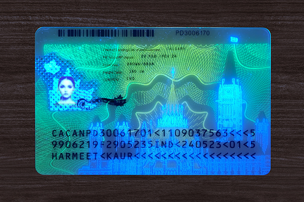 Canada Permanent Resident Card(2025)