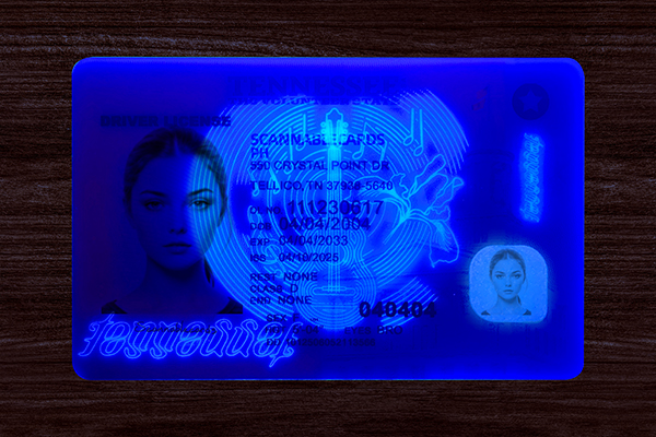 Tennessee Fake ID  (2025 Version)