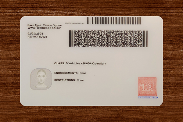 Tennessee Fake ID  (2025 Version)