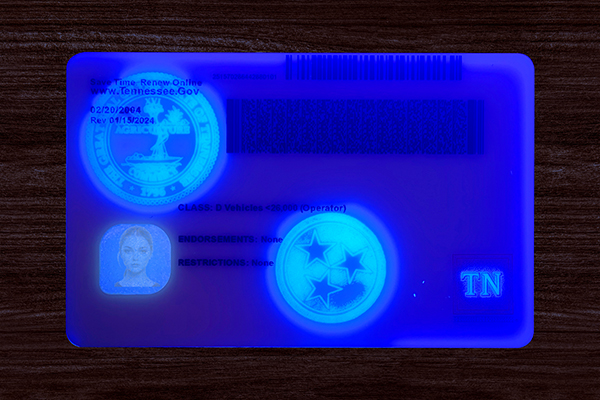 Tennessee Fake ID  (2025 Version)