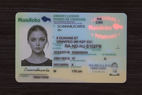 Manitoba Fake ID (2026 Version)