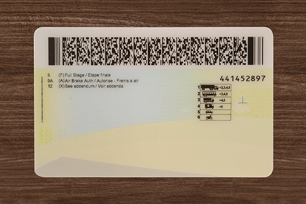 Manitoba Fake ID (2026 Version)