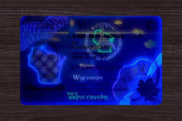 Wisconsin ID card 2026