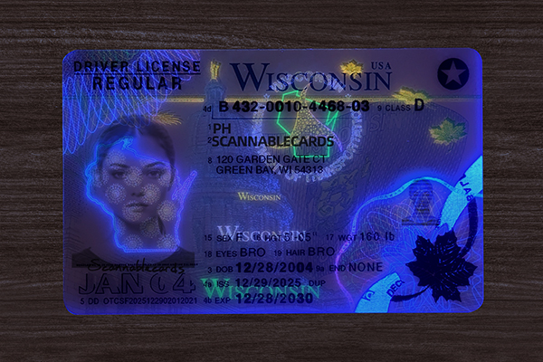 Wisconsin Fake ID (2026 version)