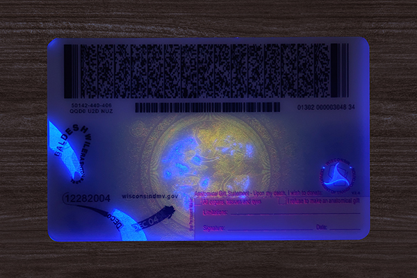 Wisconsin Fake ID (2026 version)