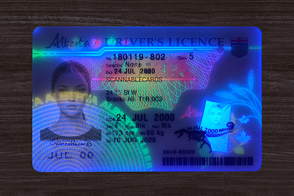 Alberta Fake ID (2026 version)