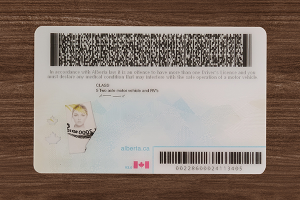 Alberta Fake ID (2026 version)
