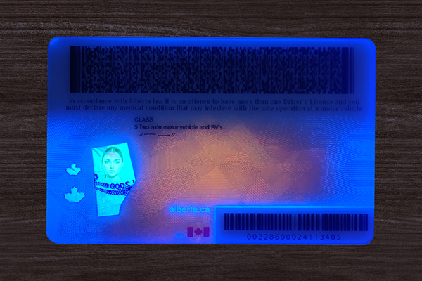Alberta Fake ID (2026 version)