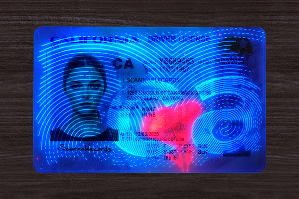 California Fake ID (2026 version)