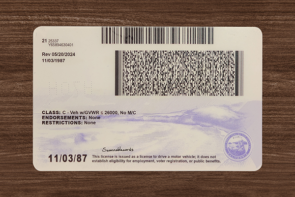 California Fake ID (2026 version)