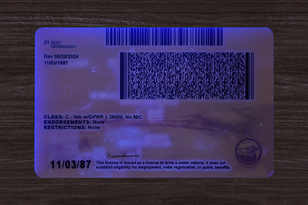 California Fake ID (2026 version)